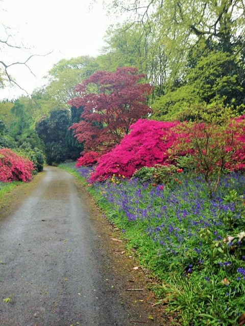 Burncoose - May Day 2017
